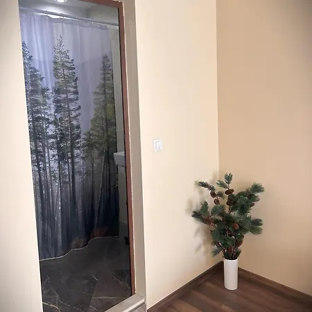 Zlati's House