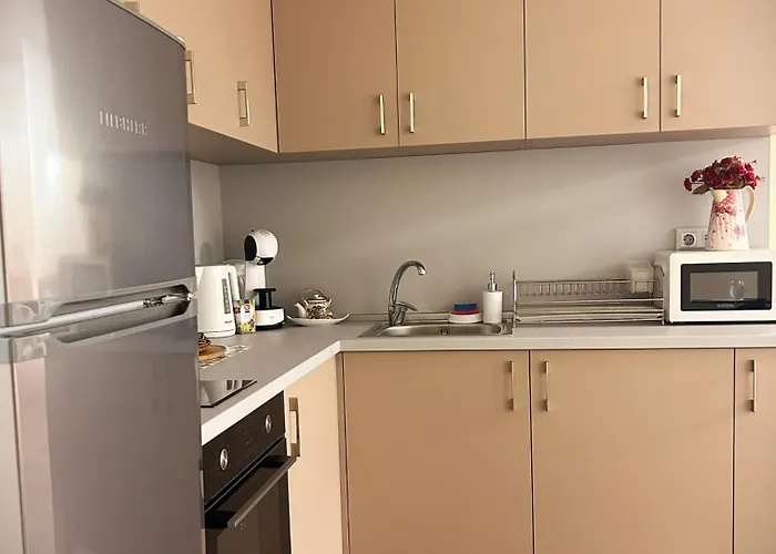 Lejlighed Zlati's House 2 *